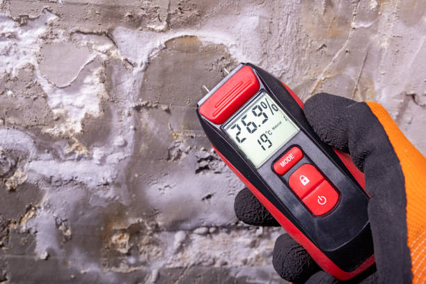 Best Crawl Space Mold Removal  in Belford, NJ