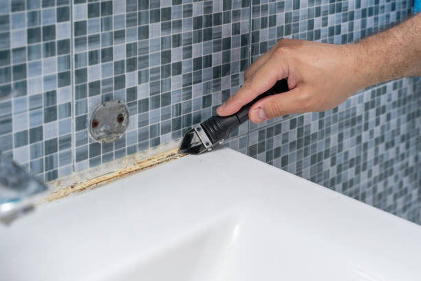 Best Mold Removal Company Near Me  in Belford, NJ